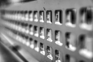 kaiyun中国官方网站-青少年体质监测结果区域对比研究，青少年健康体质检测中心